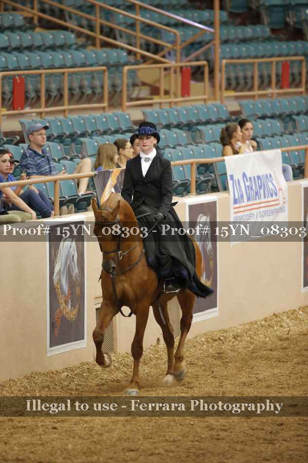 Proof 15YN_08303
