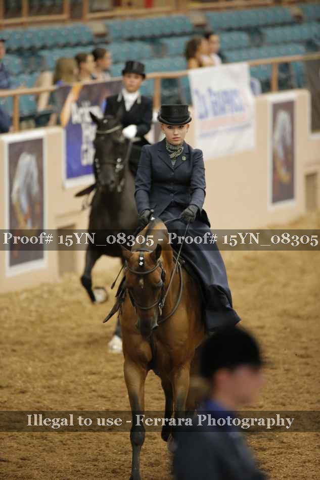 Proof 15YN_08305