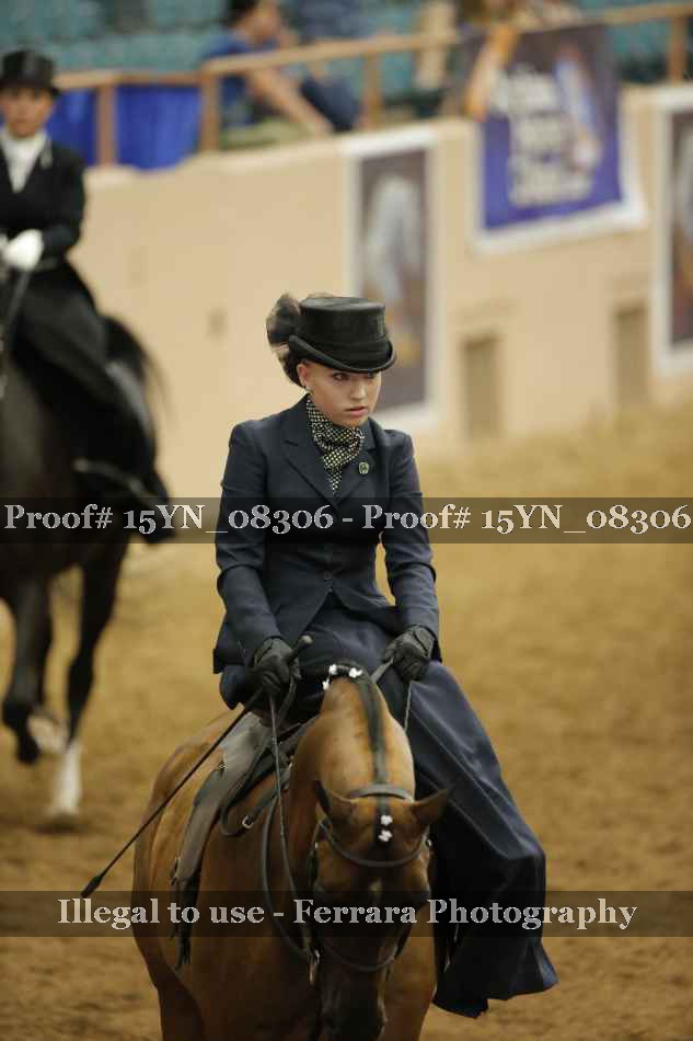 Proof 15YN_08306