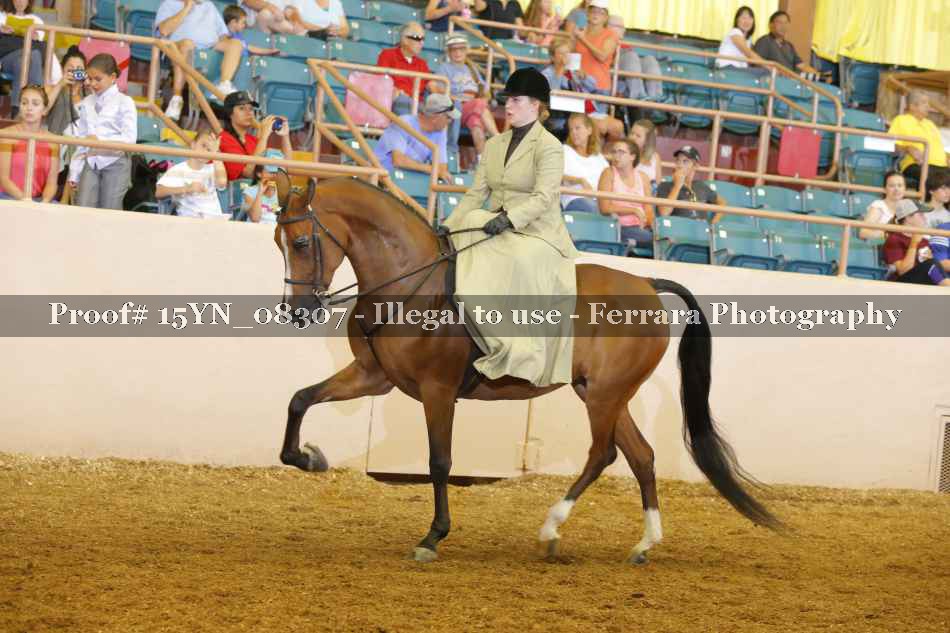 Proof 15YN_08307