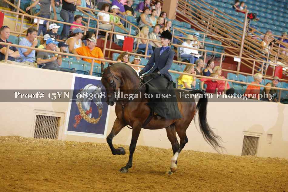 Proof 15YN_08308
