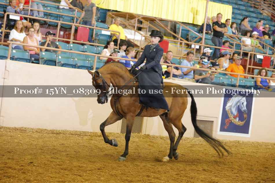 Proof 15YN_08309