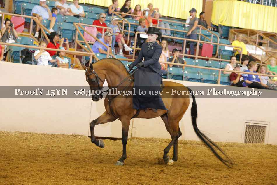 Proof 15YN_08310