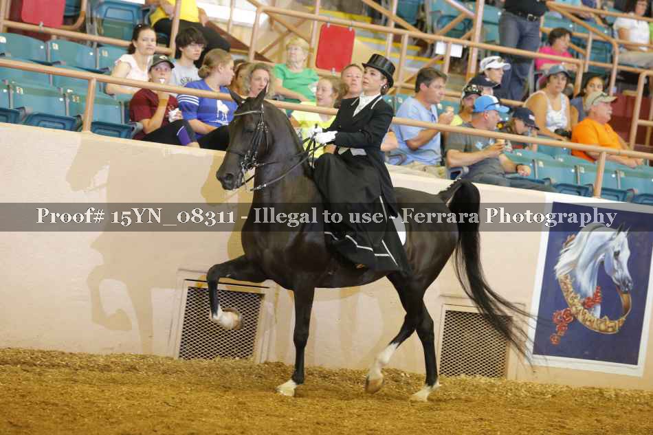 Proof 15YN_08311