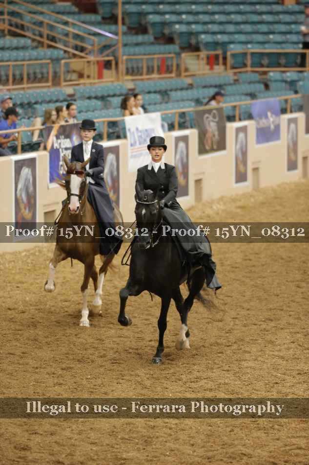 Proof 15YN_08312