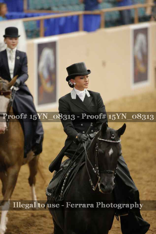 Proof 15YN_08313