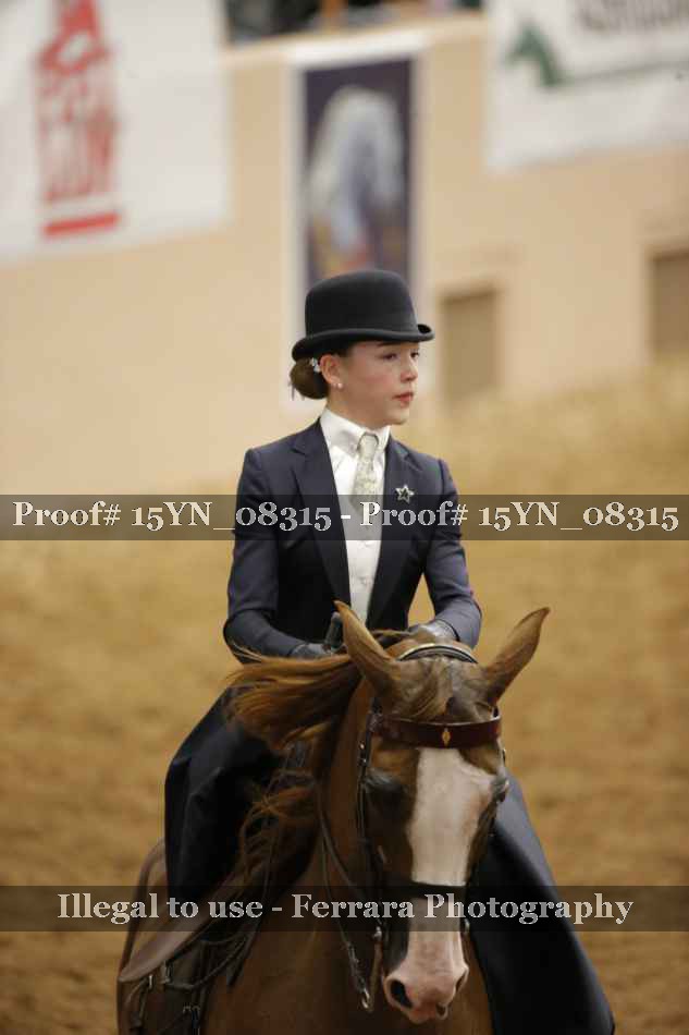 Proof 15YN_08315