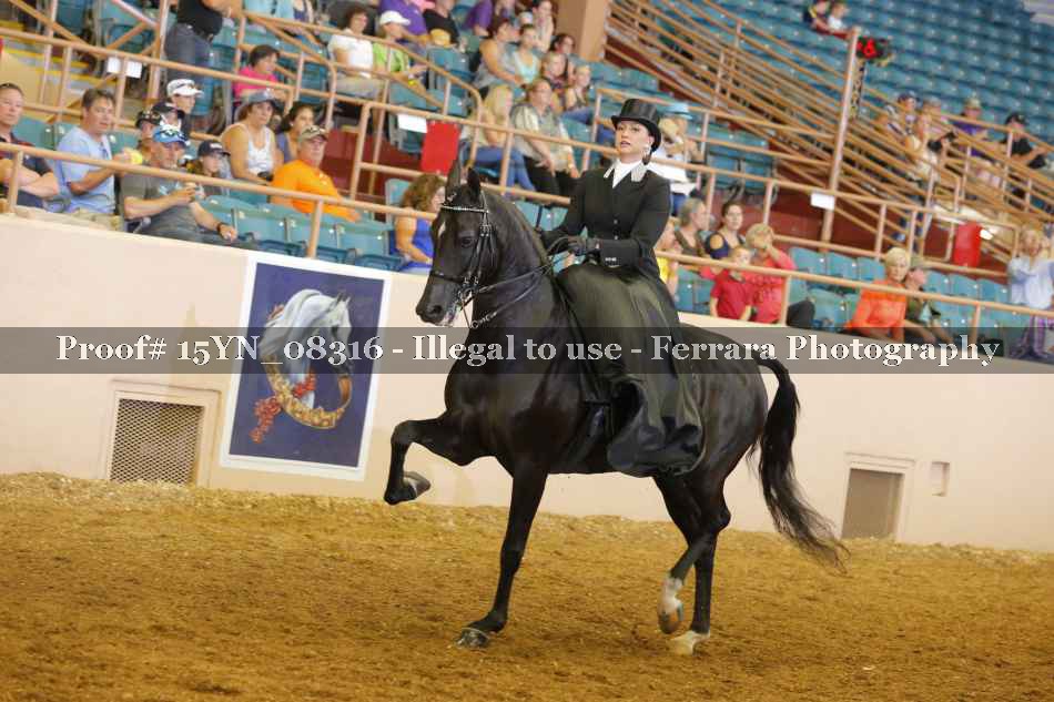 Proof 15YN_08316
