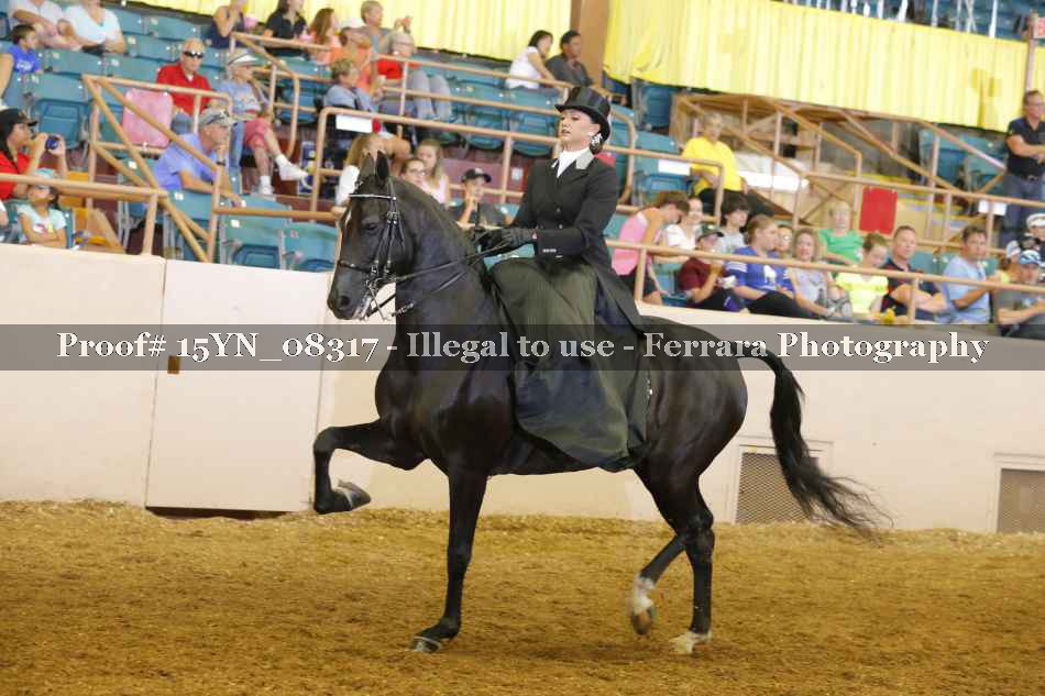 Proof 15YN_08317