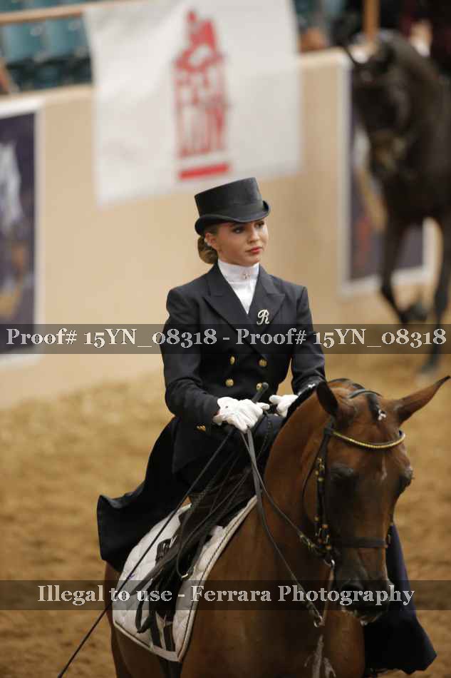 Proof 15YN_08318