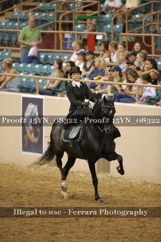 Proof 15YN_08322