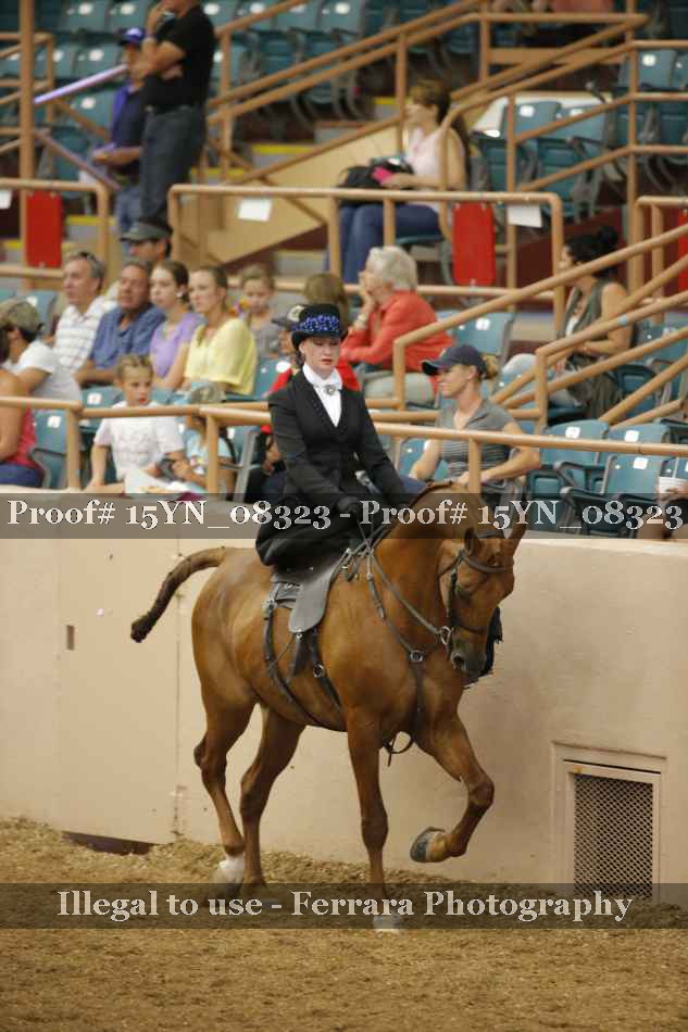 Proof 15YN_08323