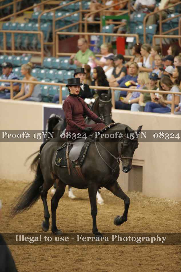 Proof 15YN_08324