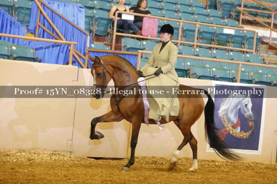 Proof 15YN_08328