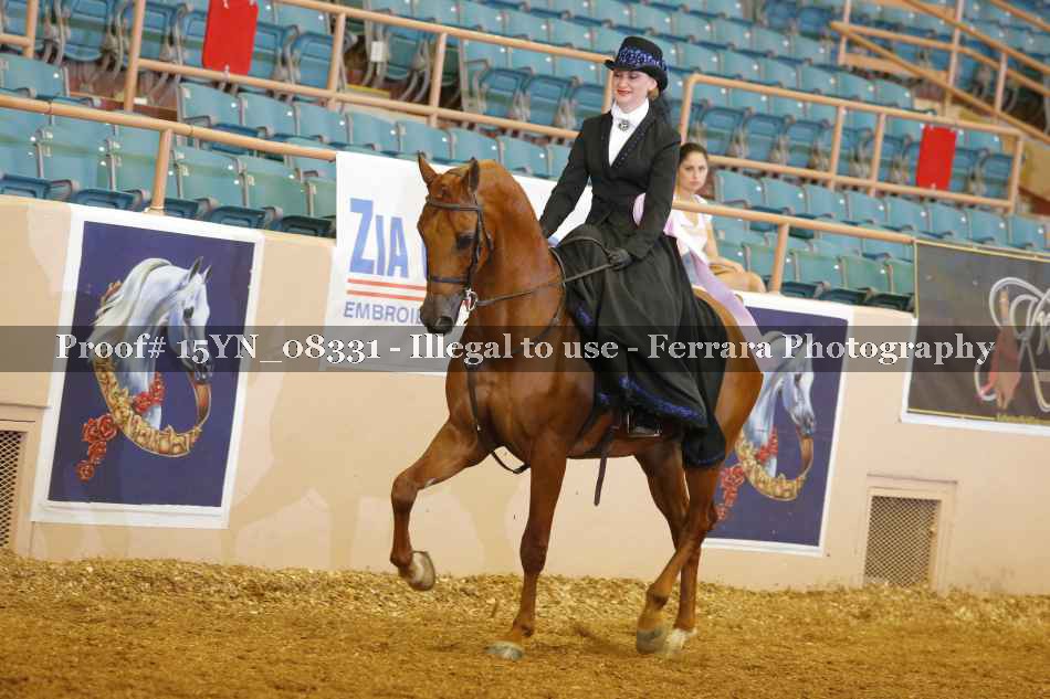 Proof 15YN_08331