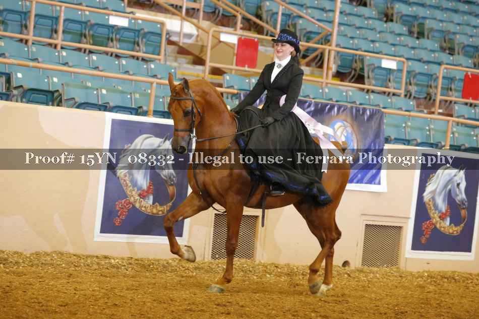 Proof 15YN_08332