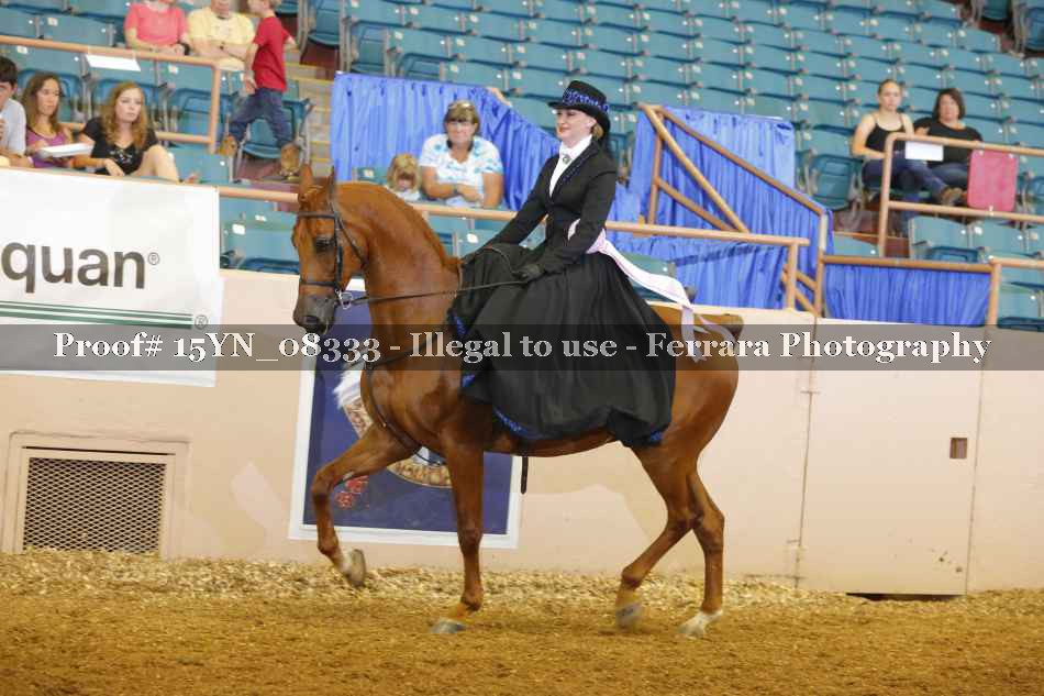 Proof 15YN_08333