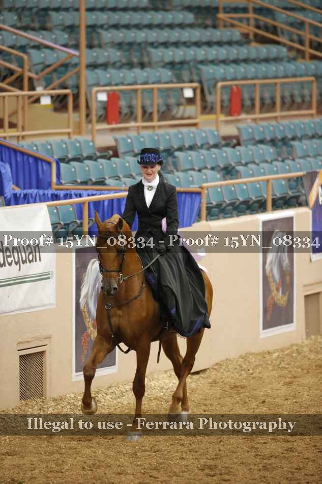 Proof 15YN_08334