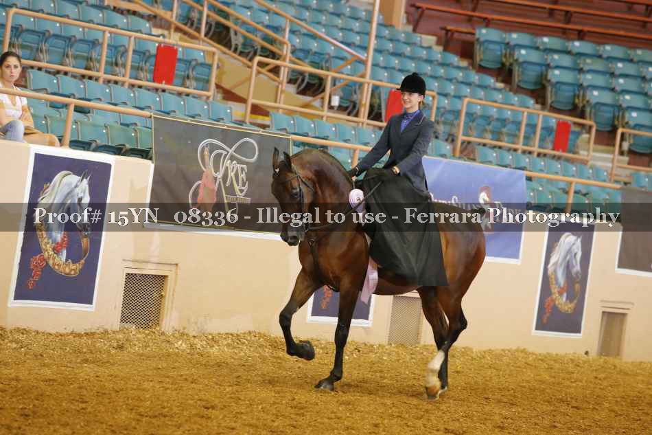 Proof 15YN_08336