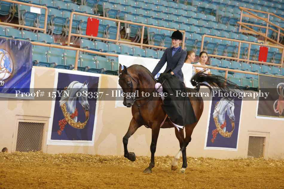 Proof 15YN_08337