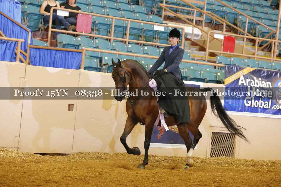 Proof 15YN_08338