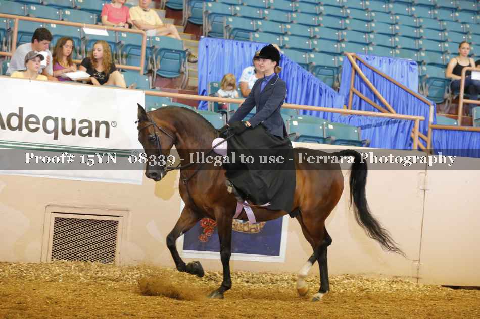 Proof 15YN_08339