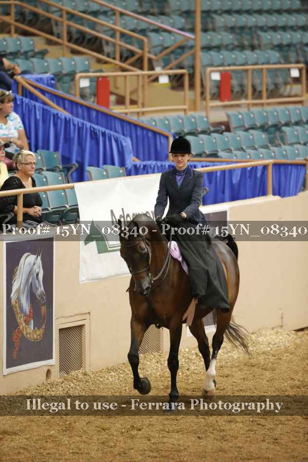 Proof 15YN_08340