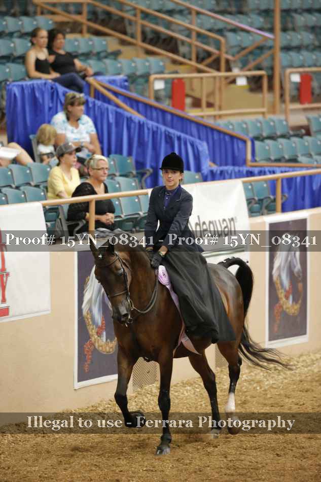 Proof 15YN_08341