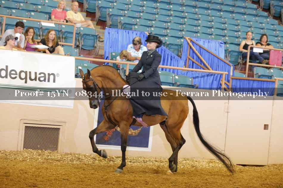 Proof 15YN_08344