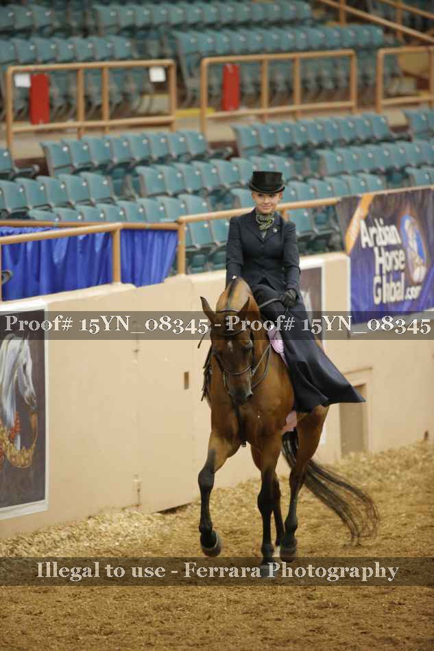 Proof 15YN_08345