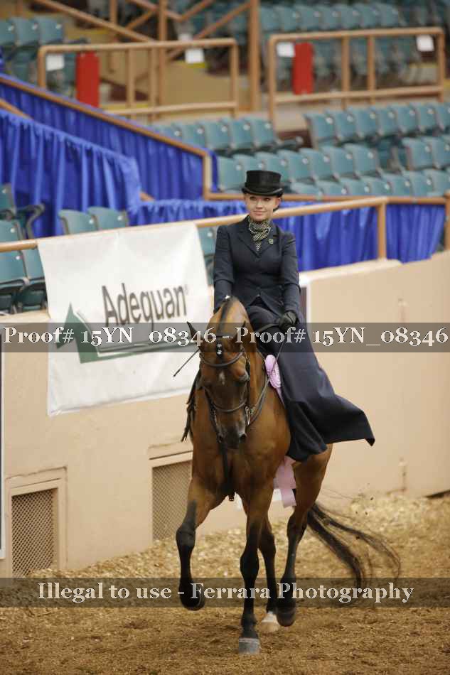 Proof 15YN_08346
