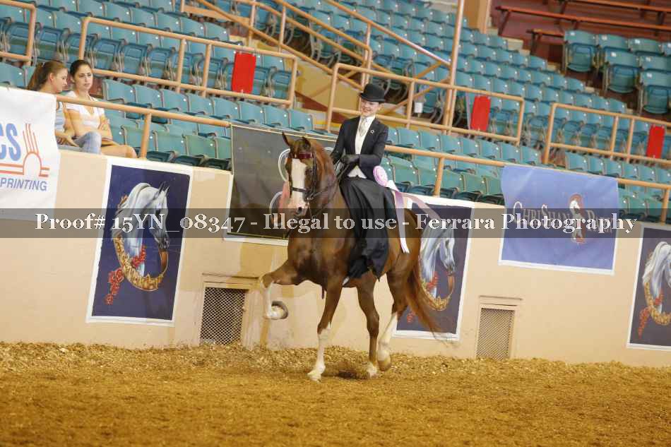 Proof 15YN_08347