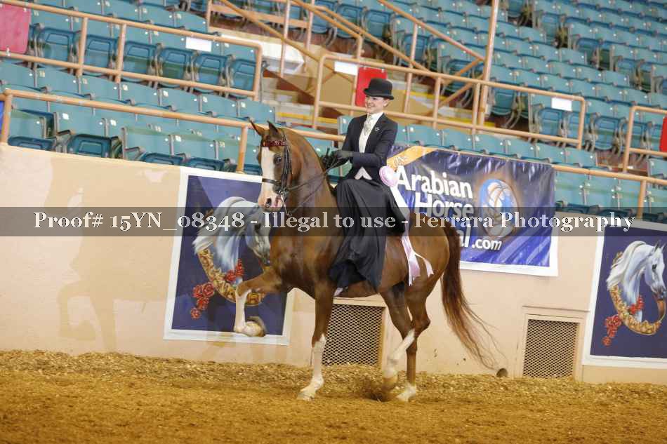 Proof 15YN_08348