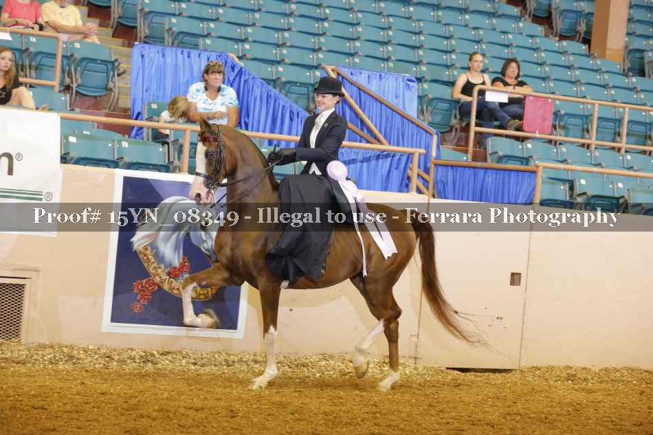 Proof 15YN_08349