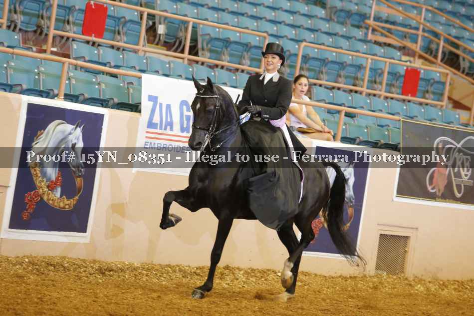 Proof 15YN_08351