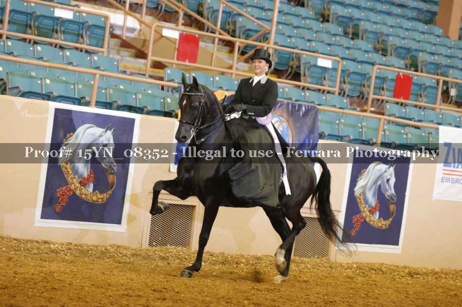 Proof 15YN_08352