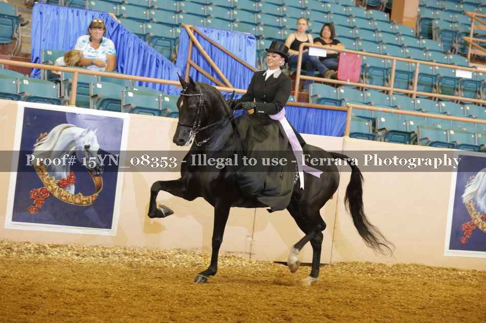 Proof 15YN_08353