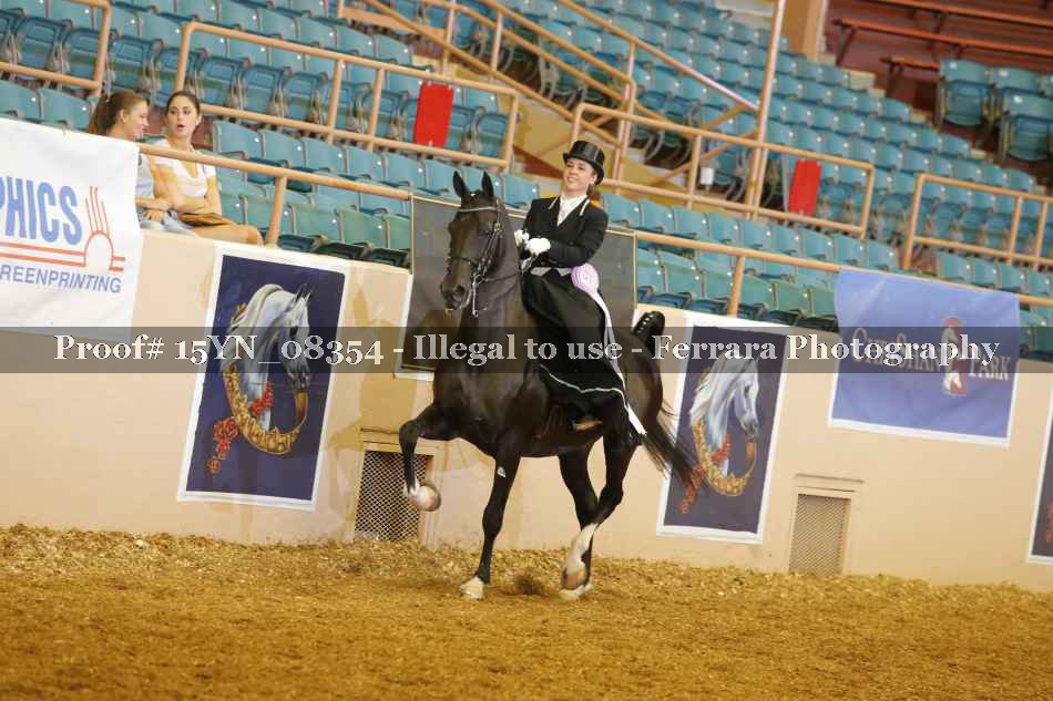Proof 15YN_08354