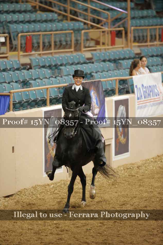 Proof 15YN_08357