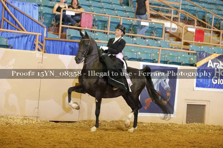 Proof 15YN_08358