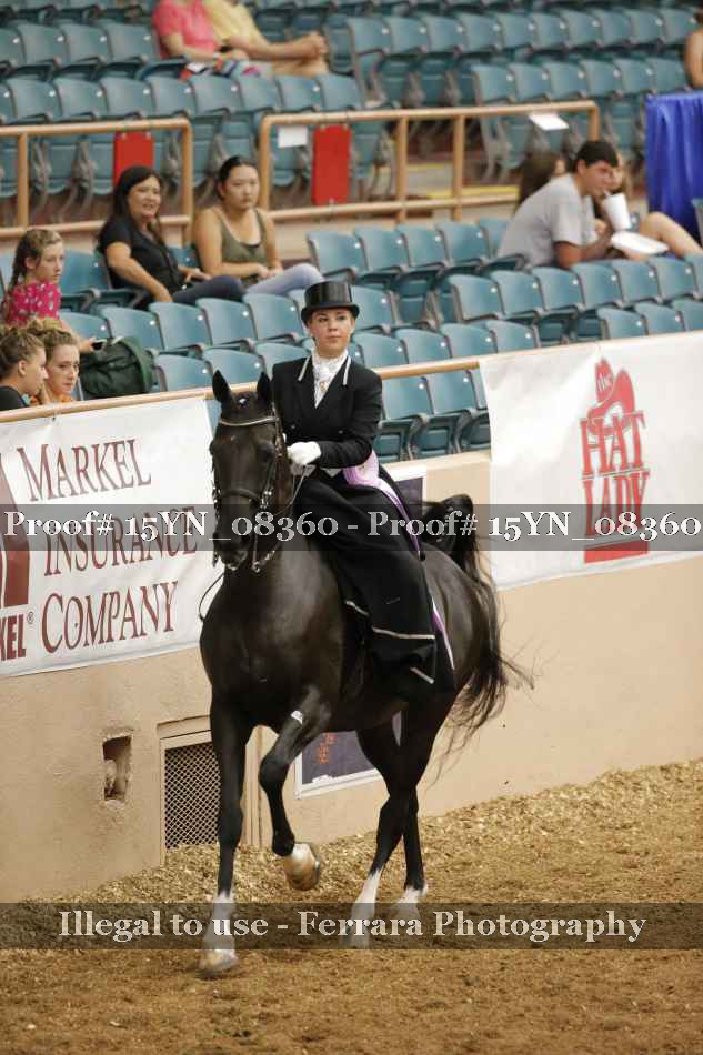 Proof 15YN_08360