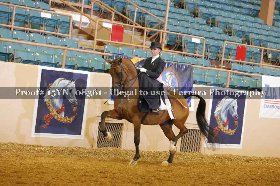 Proof 15YN_08361