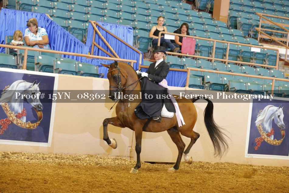 Proof 15YN_08362