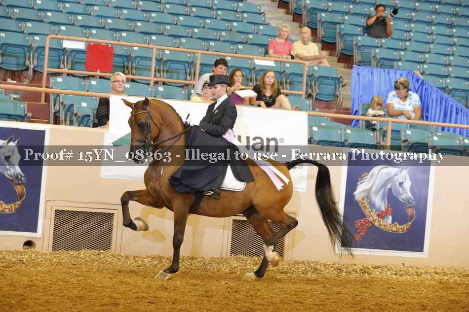 Proof 15YN_08363
