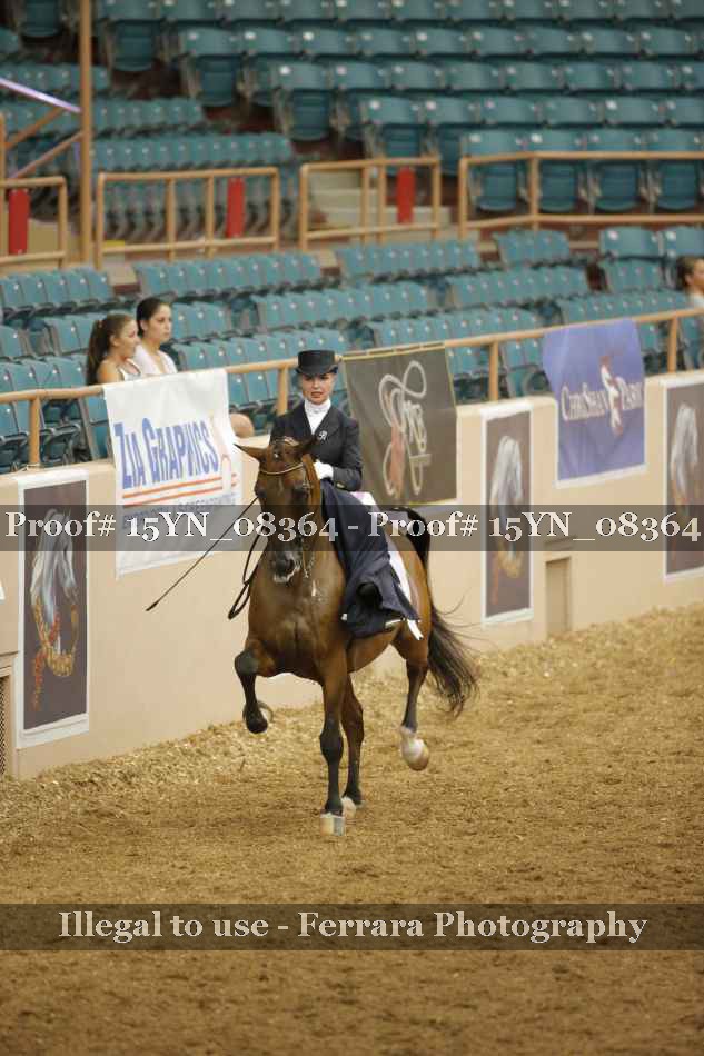 Proof 15YN_08364