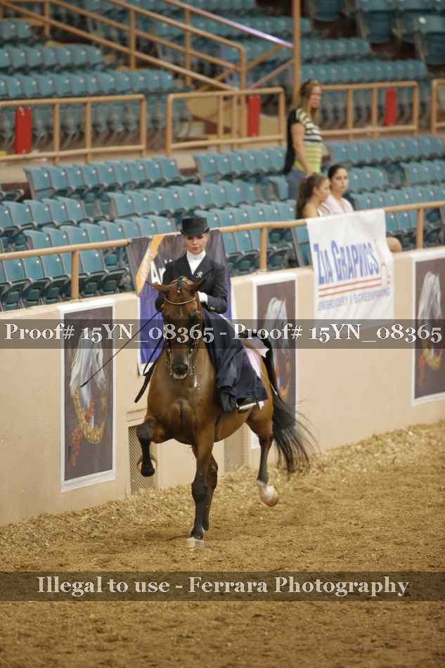 Proof 15YN_08365