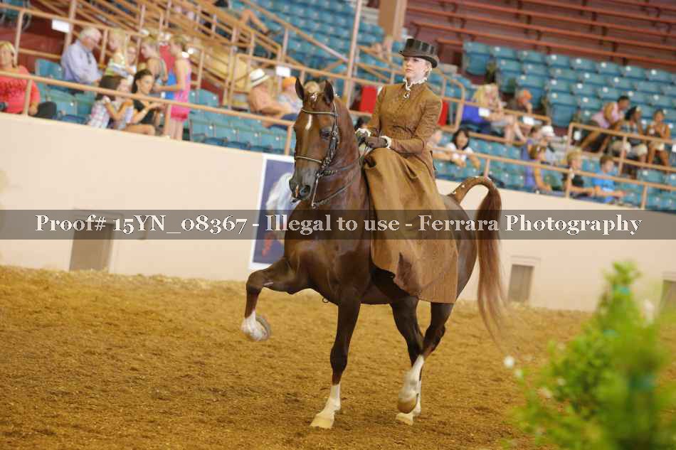 Proof 15YN_08367