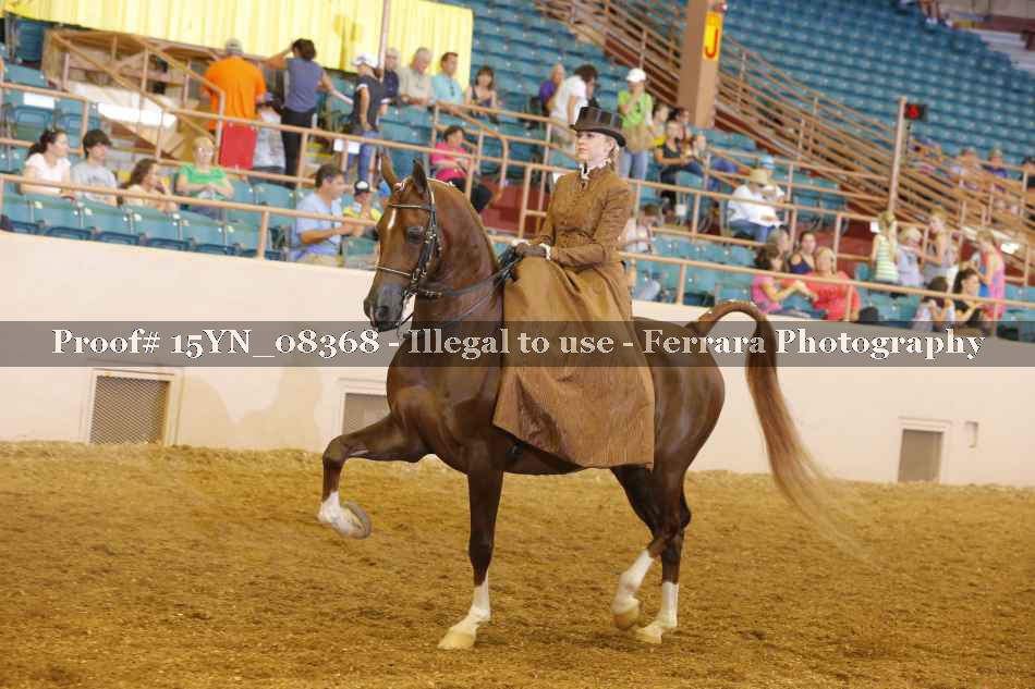 Proof 15YN_08368