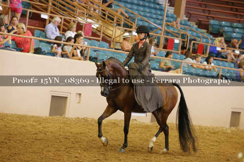 Proof 15YN_08369