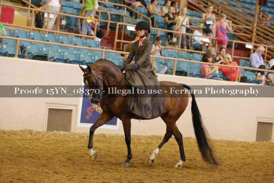 Proof 15YN_08370